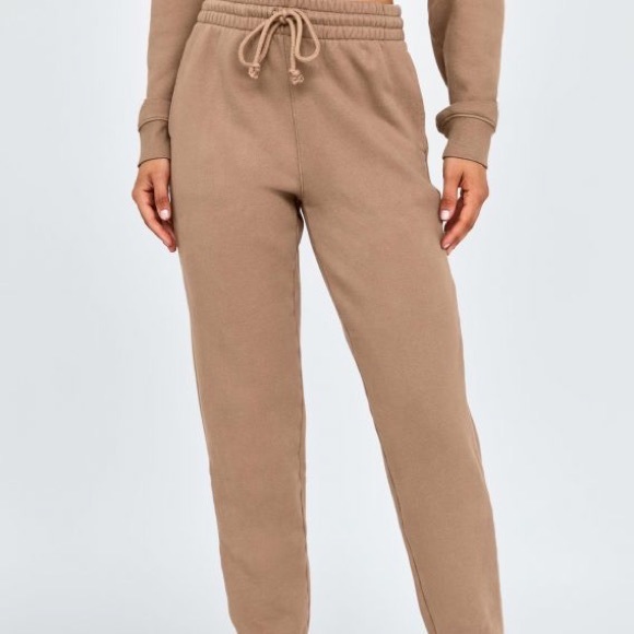 ARITZIA TNA COZY AF BF SWEATPANT - Picture 4 of 4